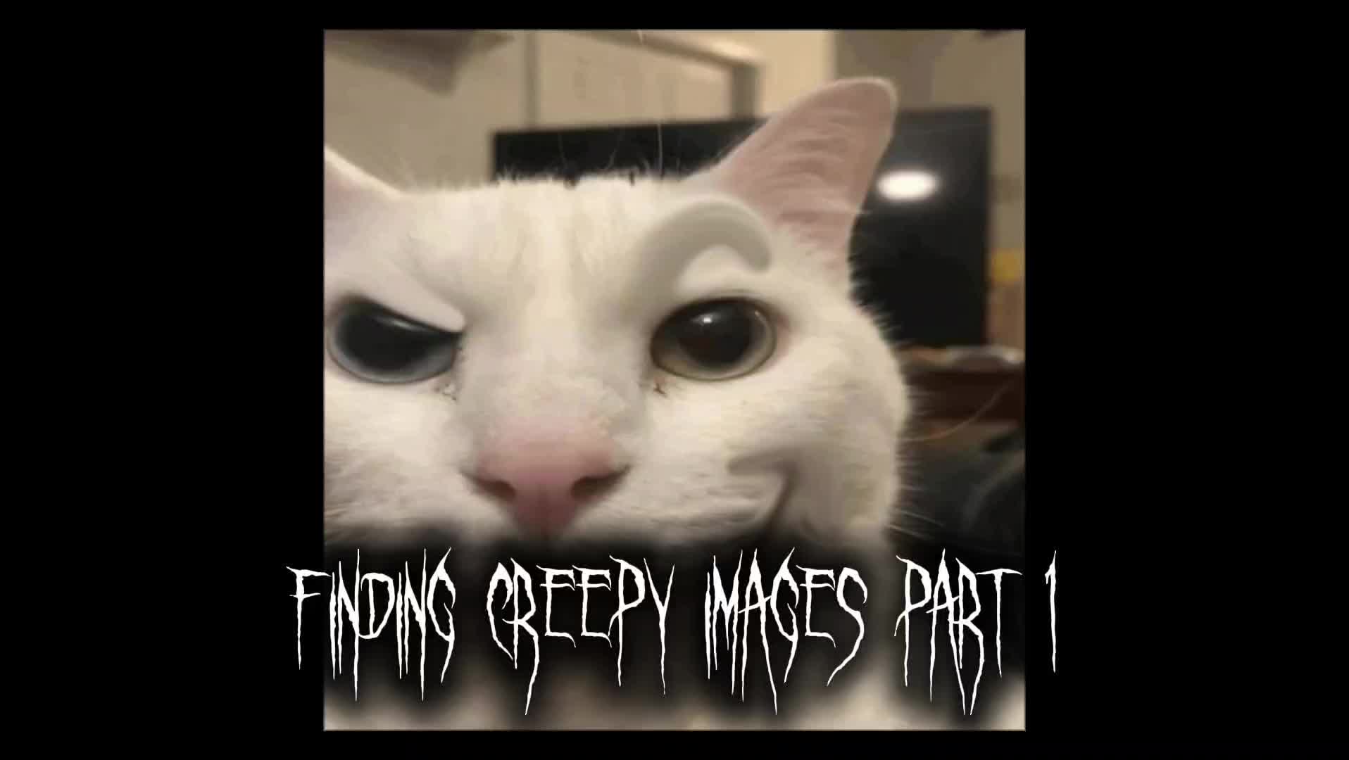 @talking with uncanny cat