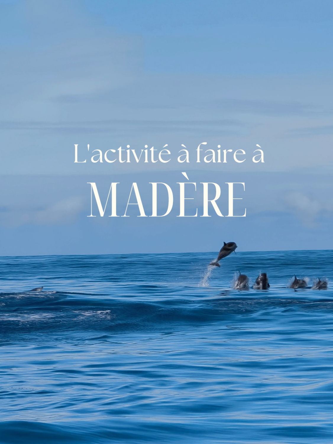 @noune_en_vadrouille