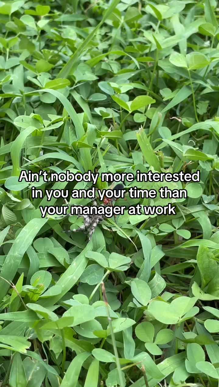 @Jo-Mama