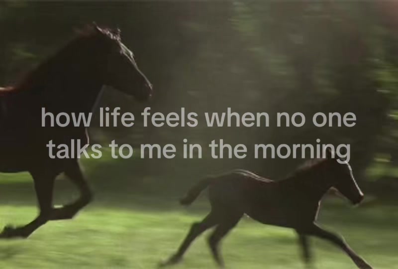 @sadllittlesong