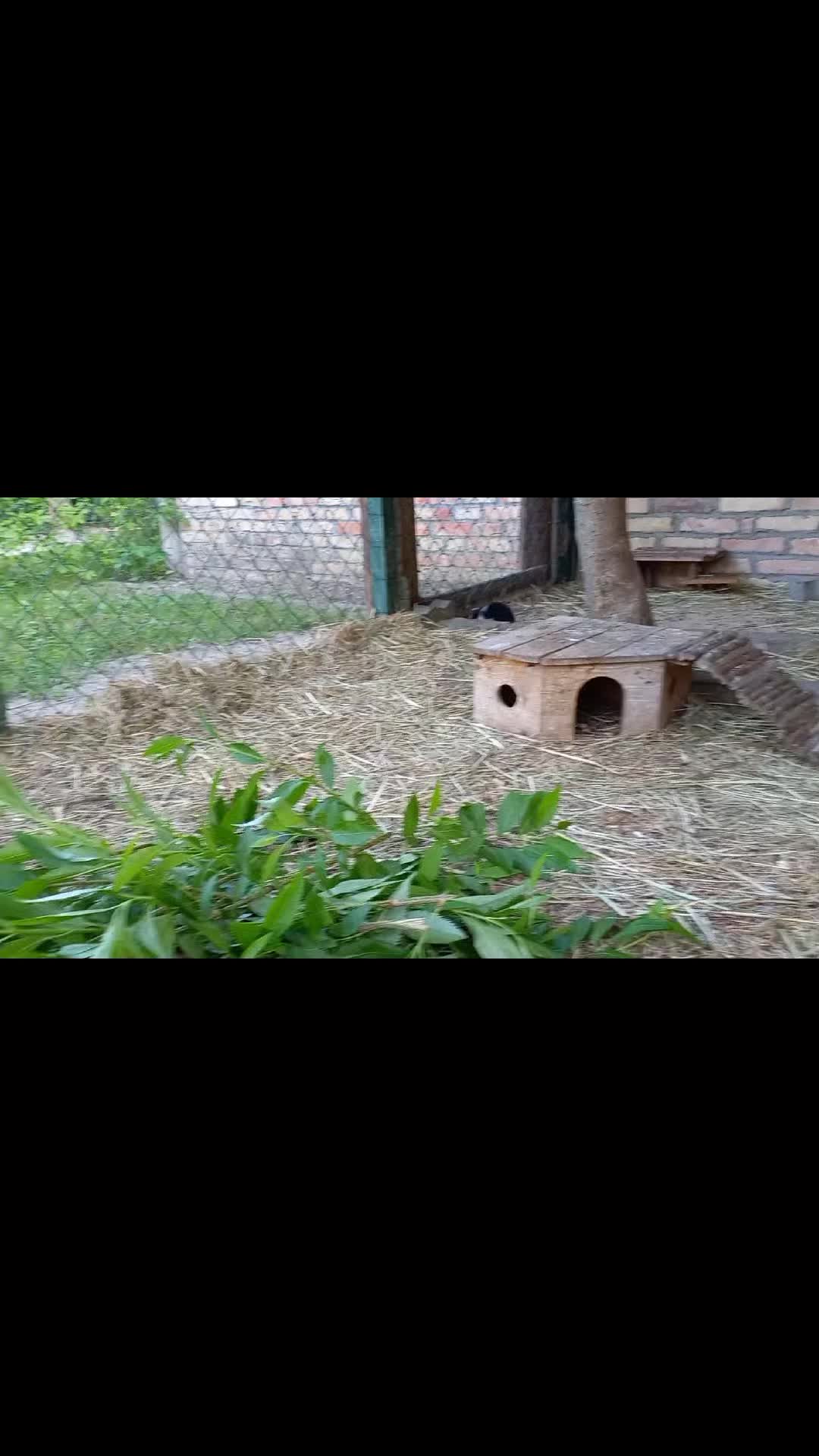 @🦚🆃𝓲𝓮𝓻🅿𝓪𝓻𝓴🆃𝓸𝓴🦚