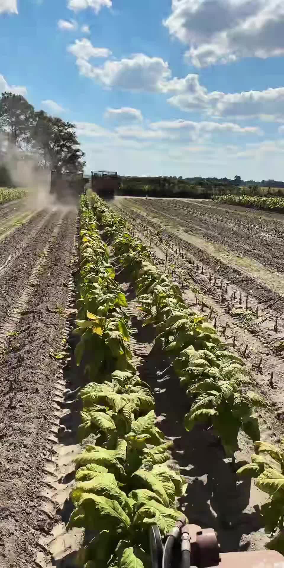 @Jwh farms