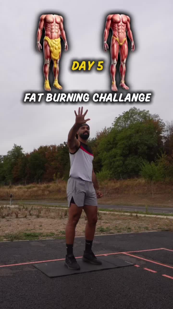 @MT trainer