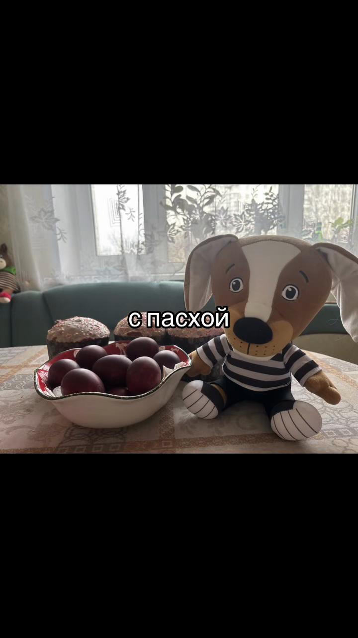 @zverkka