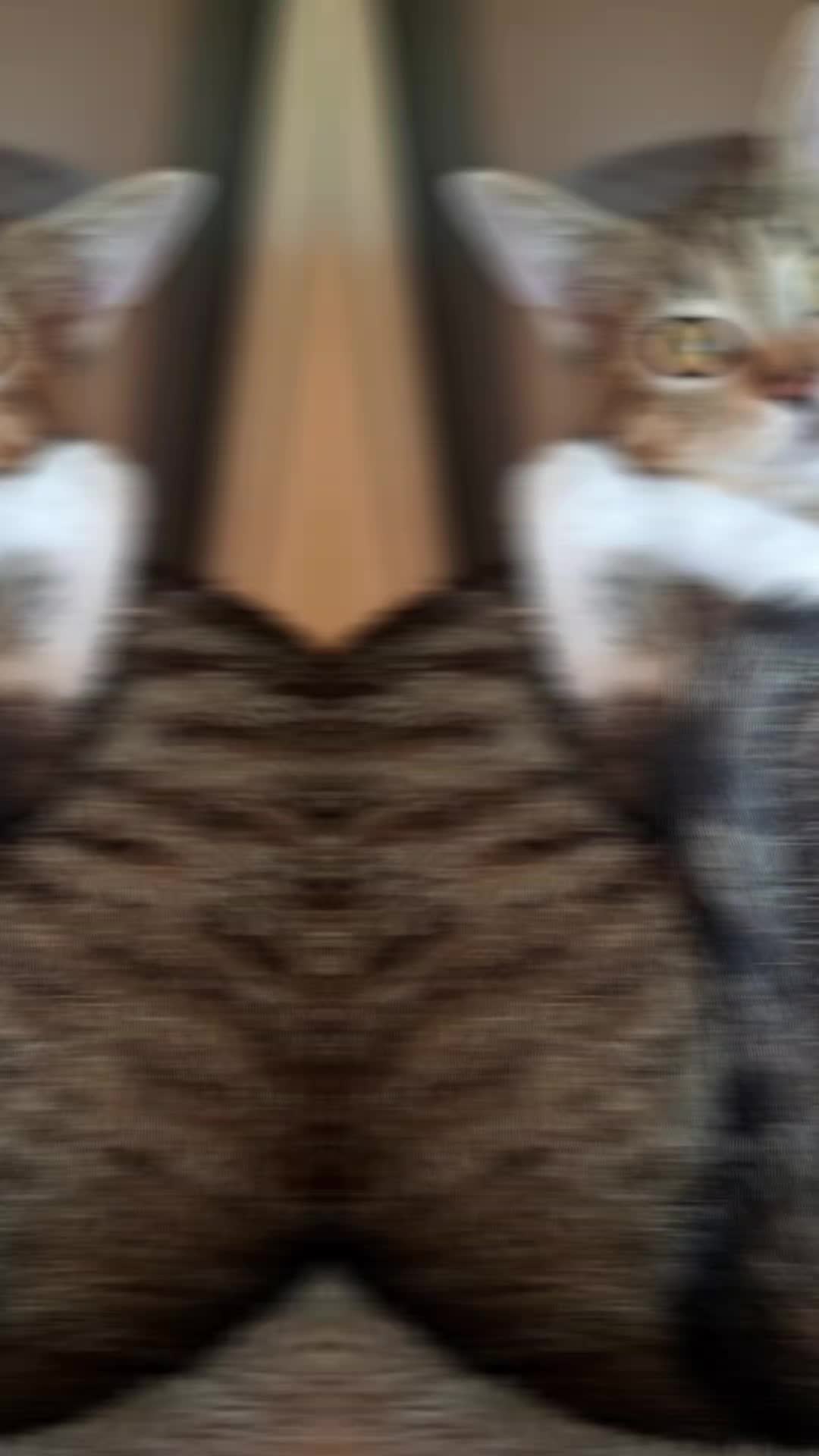 @😈🔥𝐿𝒾𝑒𝓈𝓈𝒸𝒽𝑒𝓃🔥😈