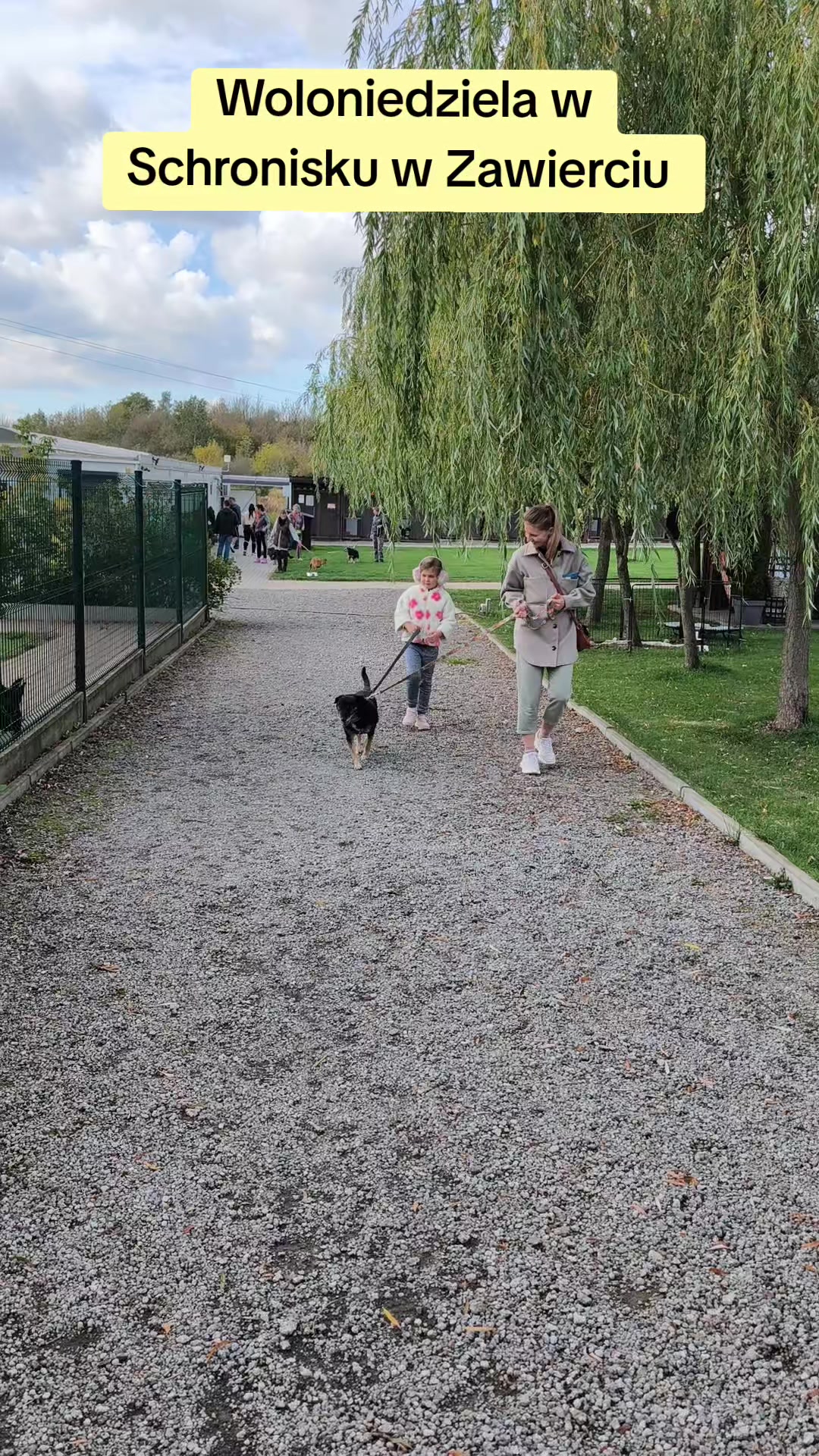 @Bezdomniaki_ze_śląska