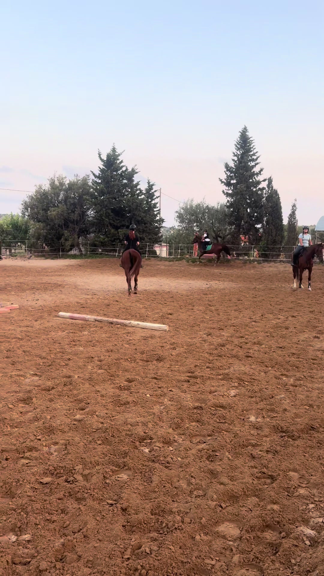 @Aurora Campisi
