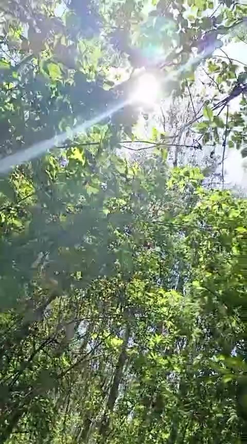 @Fernanda Oviedo