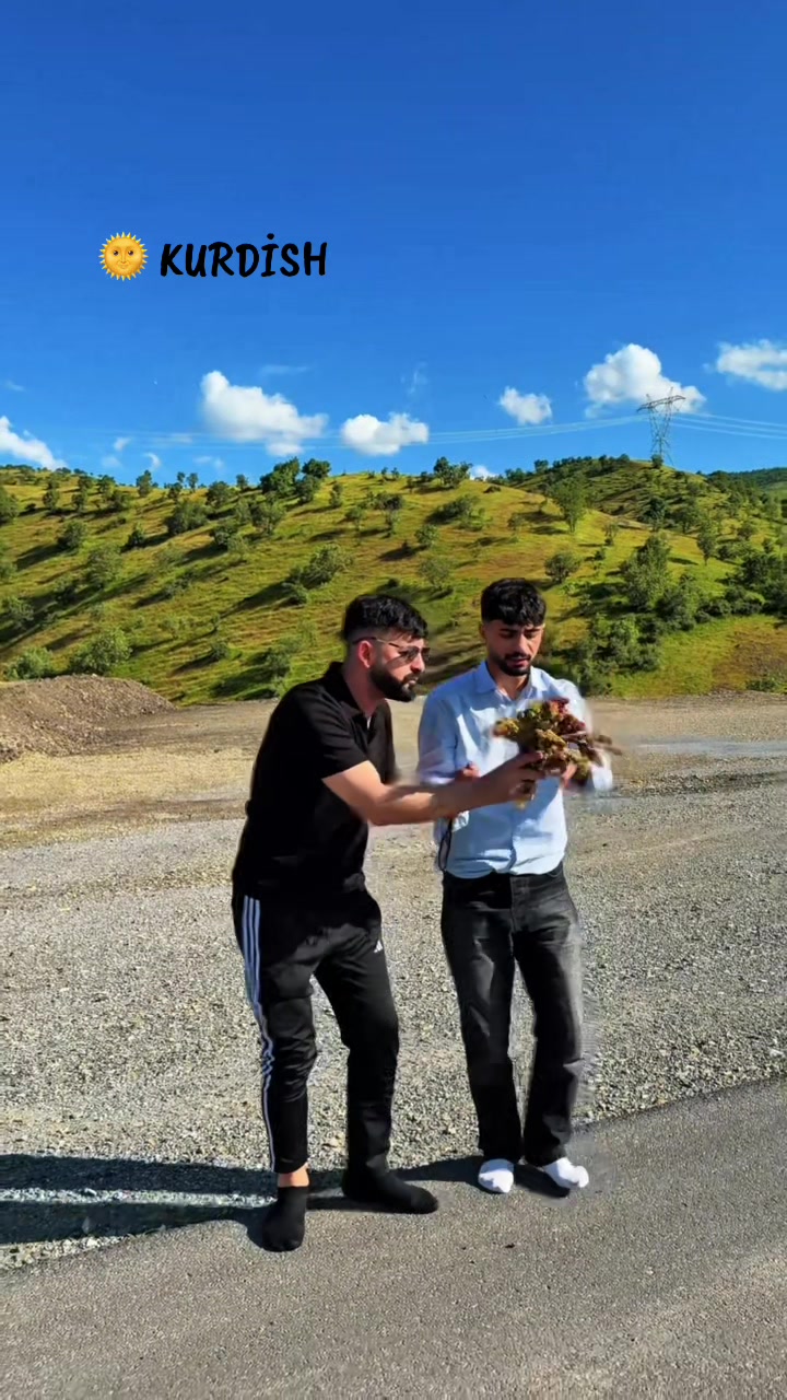 @Rojvandemir