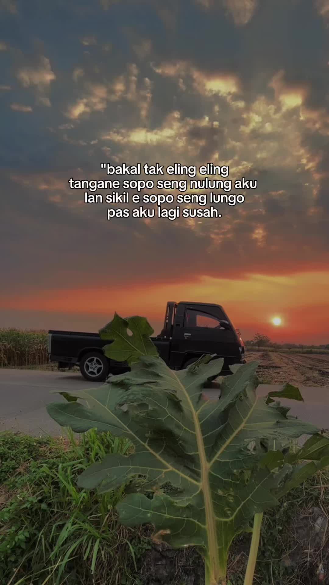 @Bas Sniper BM ⚡️
