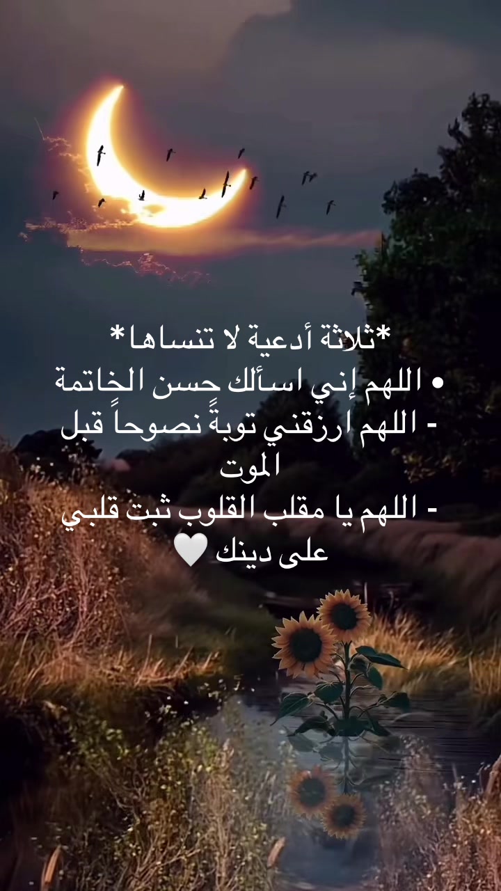 @عابرة الى الجنه ان شاء الله