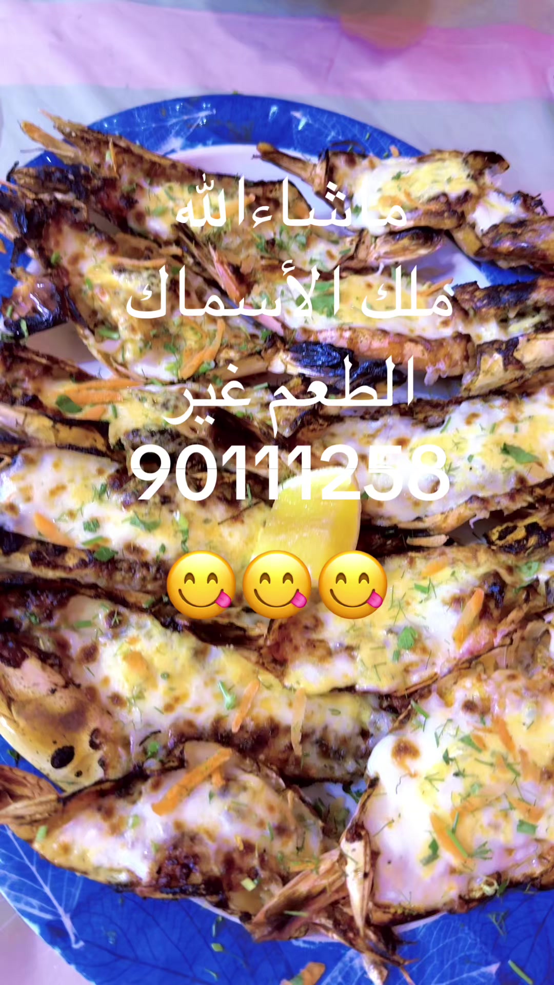 @KING FISH 🇴🇲 مـلـك الأســماك