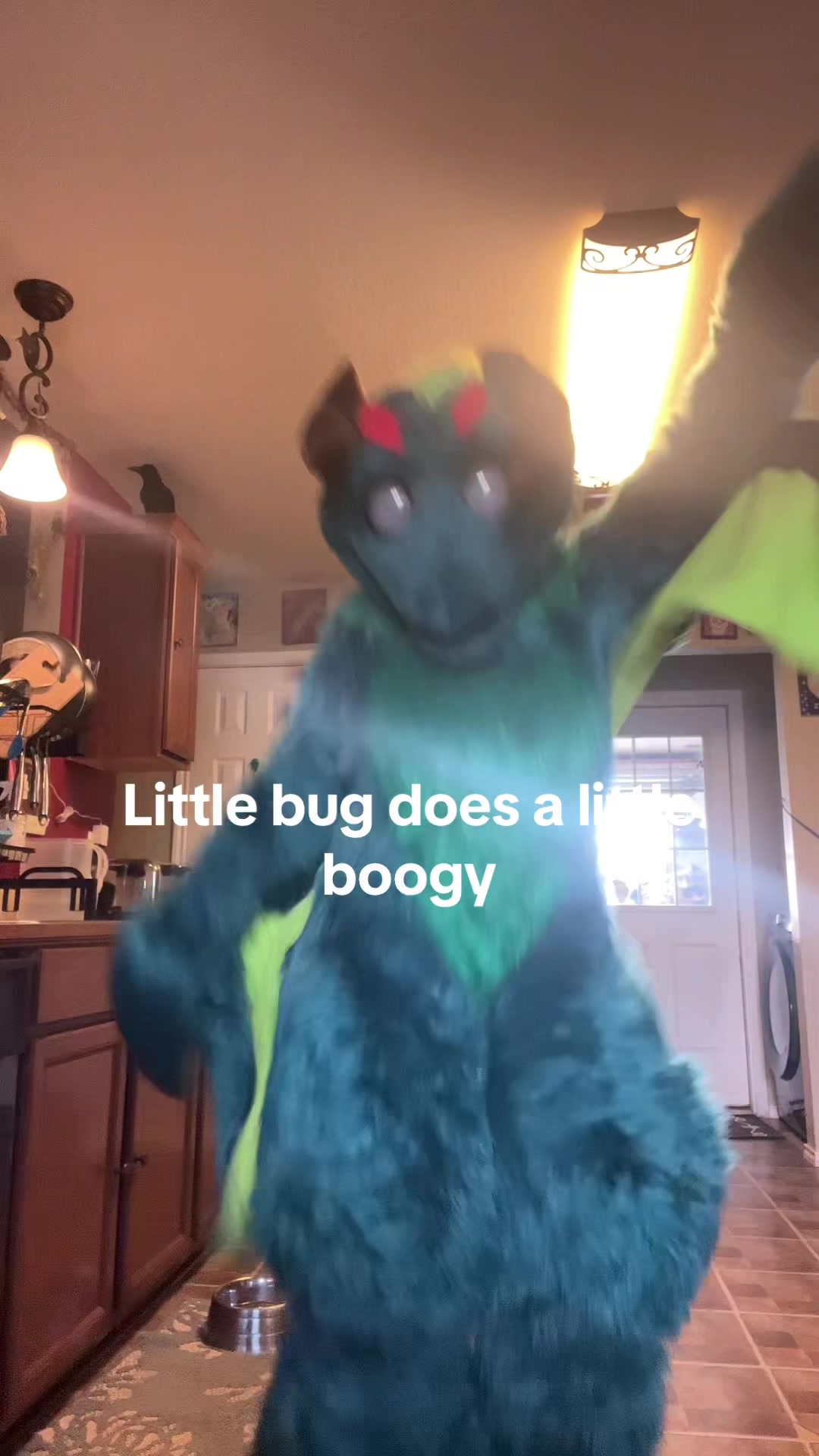 @aethertheskulldog🔜TFF