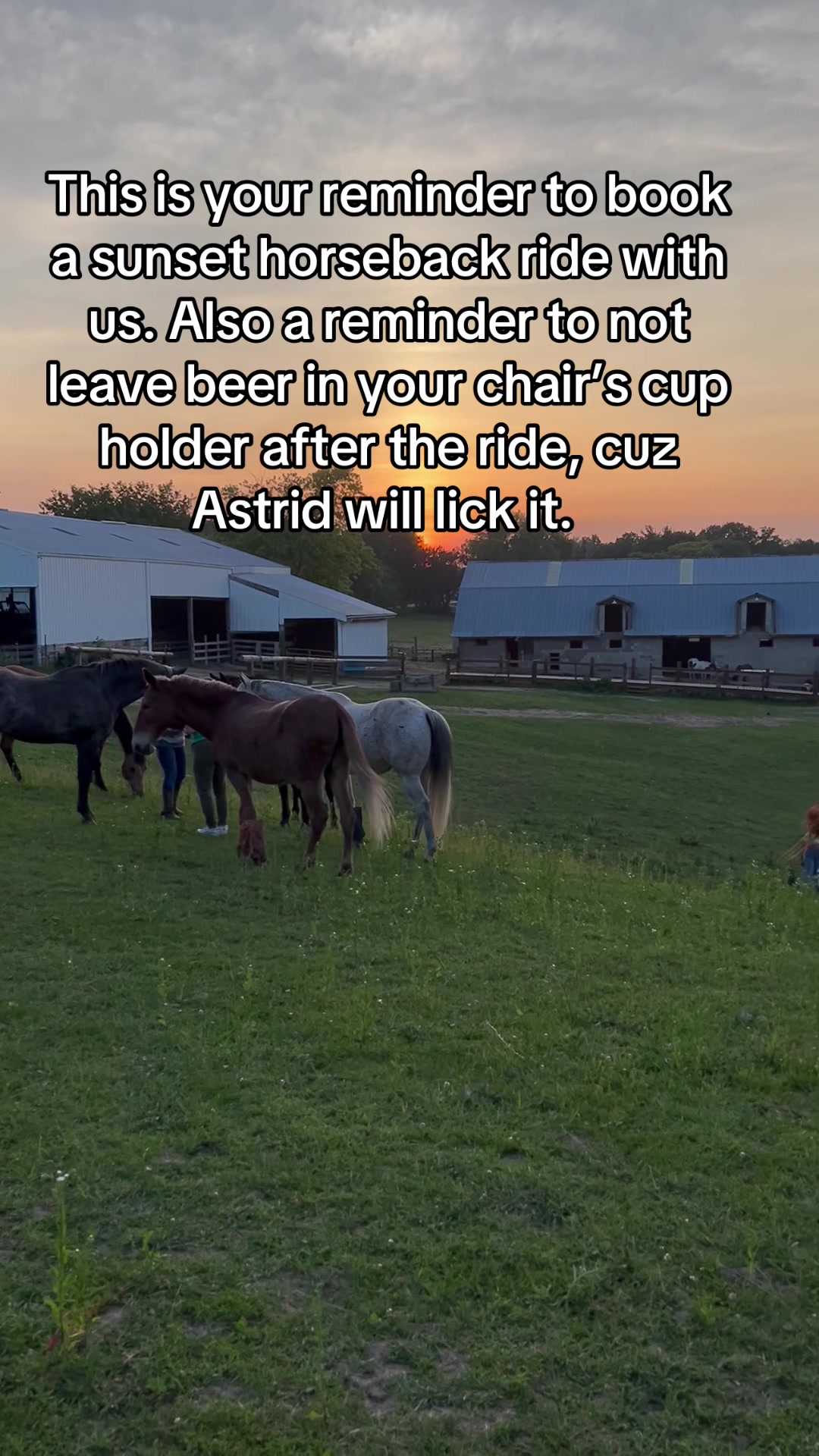 @Millbrook Trail Rides