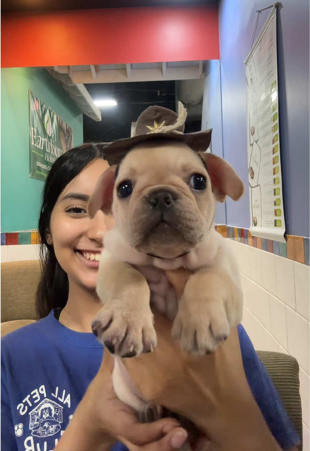 @All Pets Club