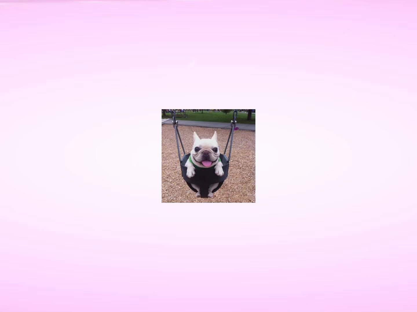 @pibblepan
