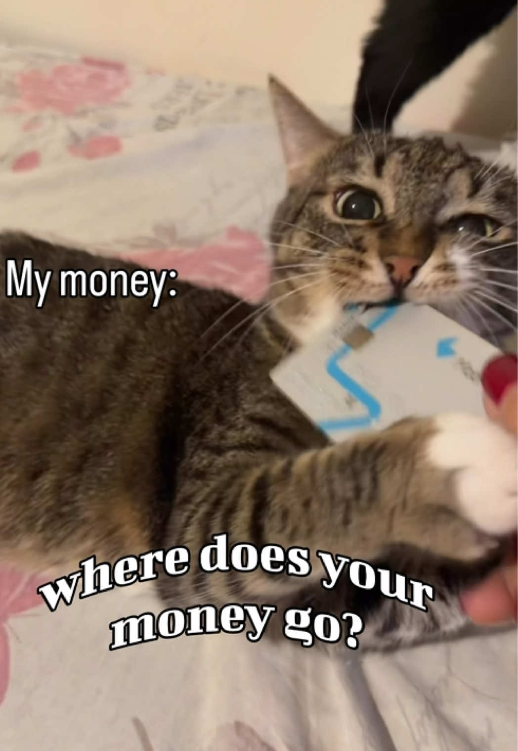 @cosanostrapurr