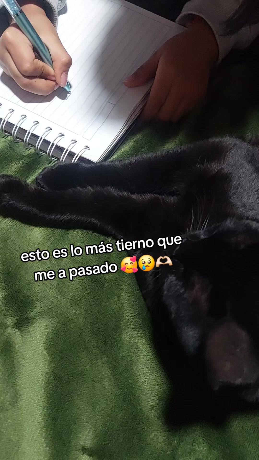 @0 sentimientos