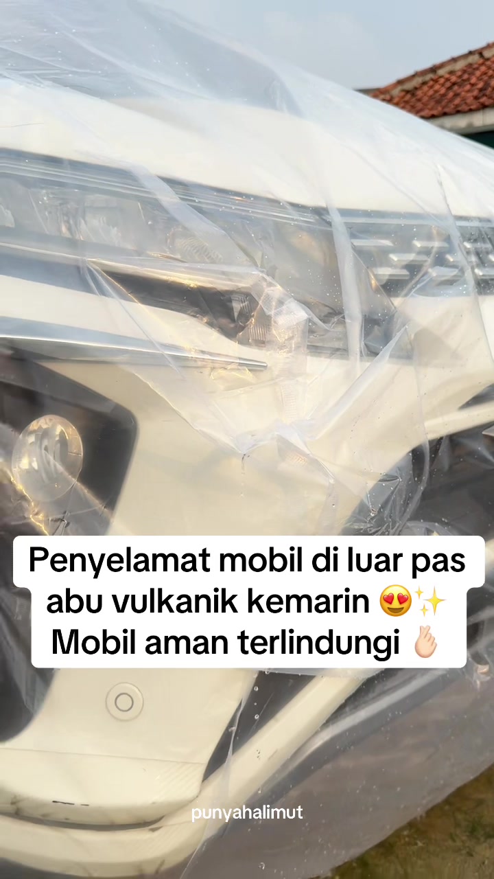 @Halimut