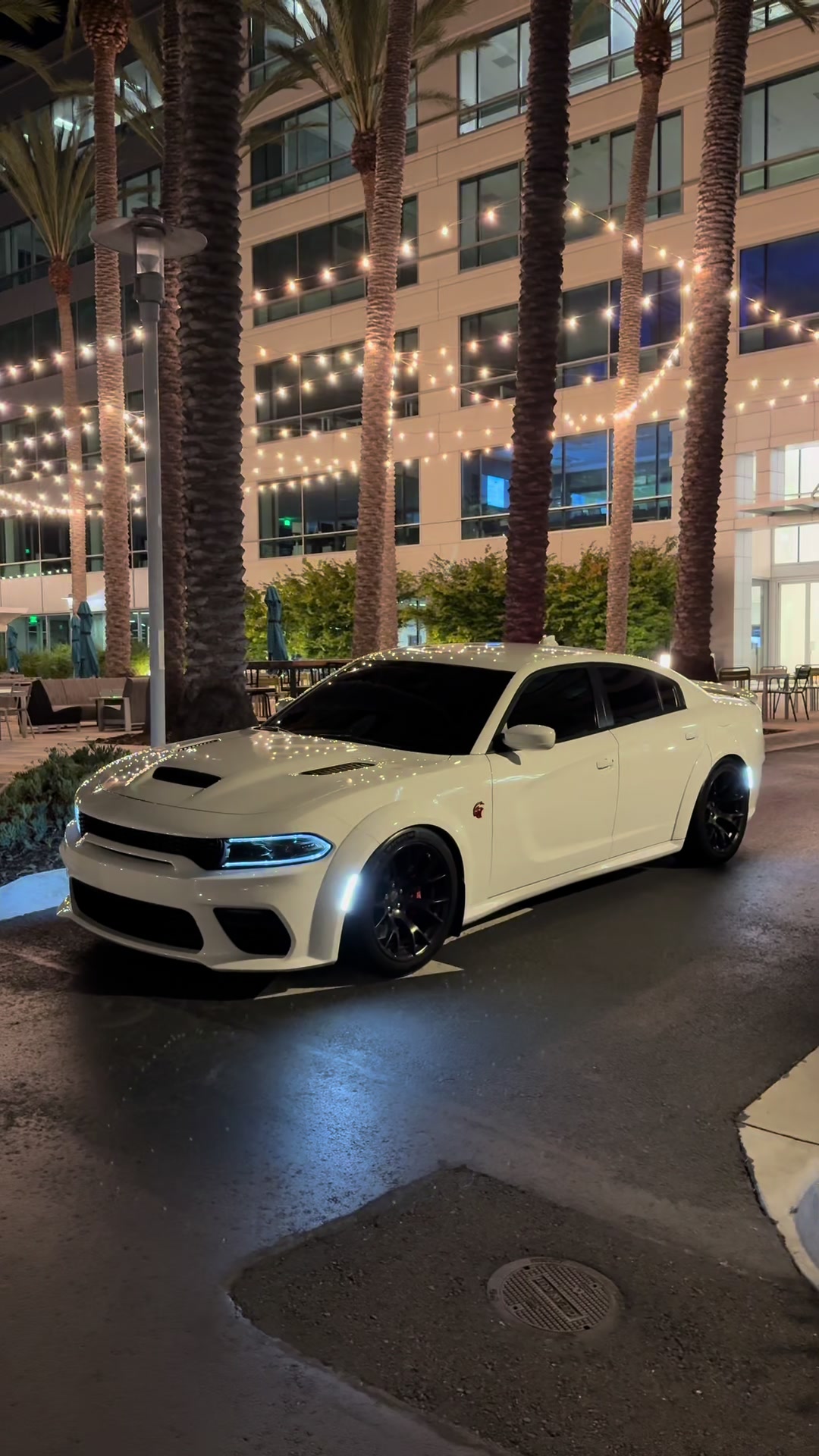 @ant4tw🏆