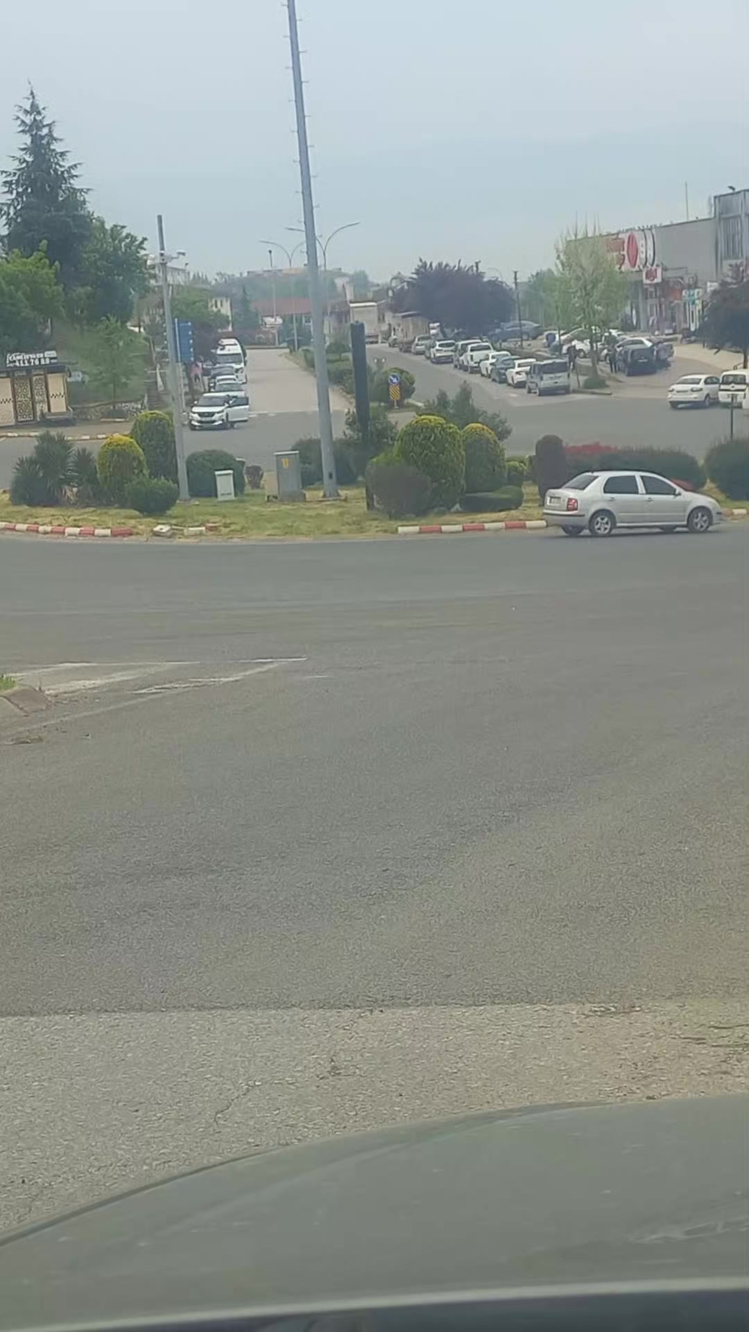 @81 D&uuml;zce