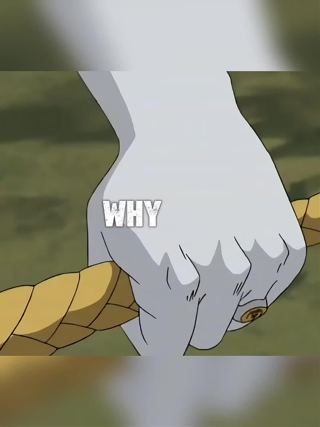 @Luffy Shinobi