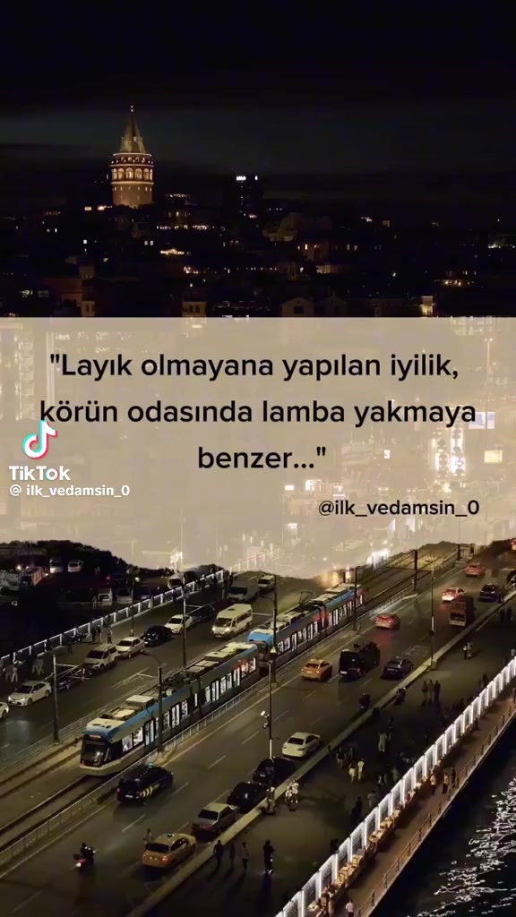 @Elif Taş