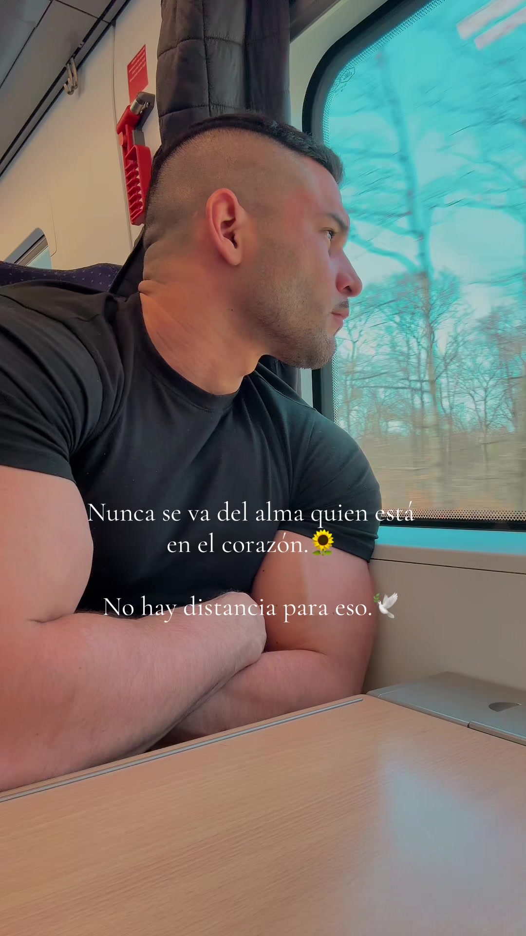 @Alejandropetit