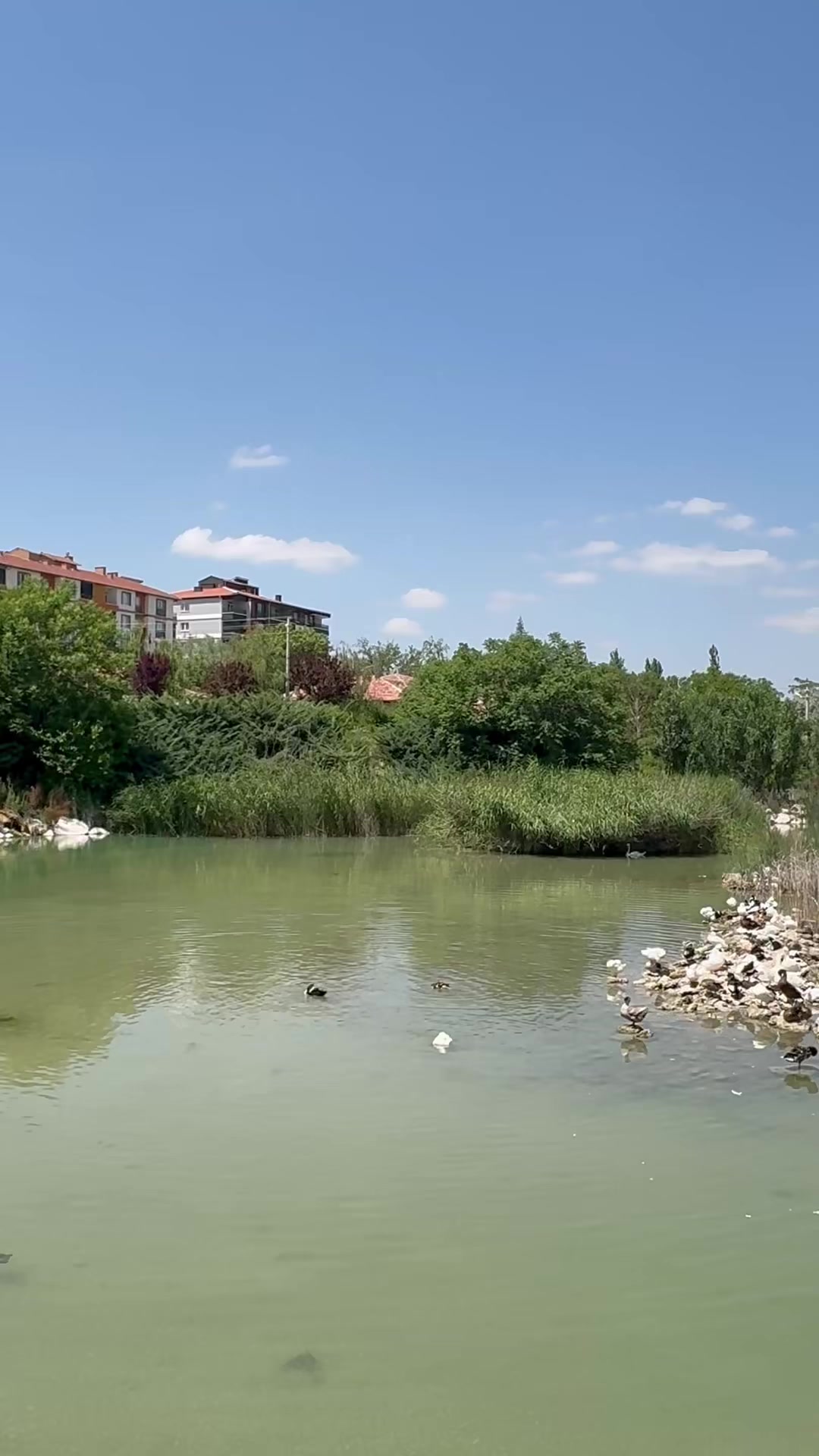 @bir g&uuml;nes