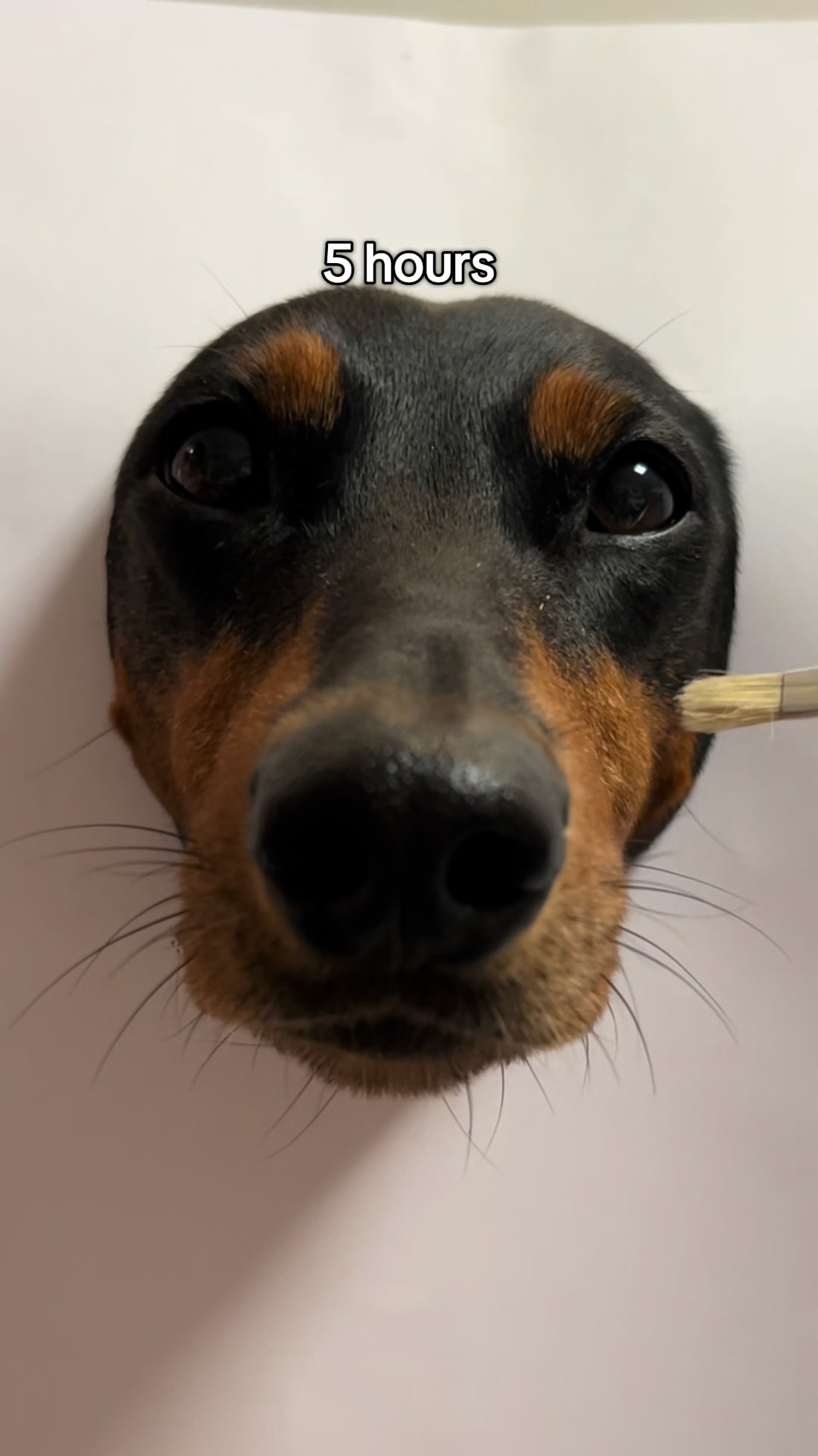 @AlvaTheHotDog