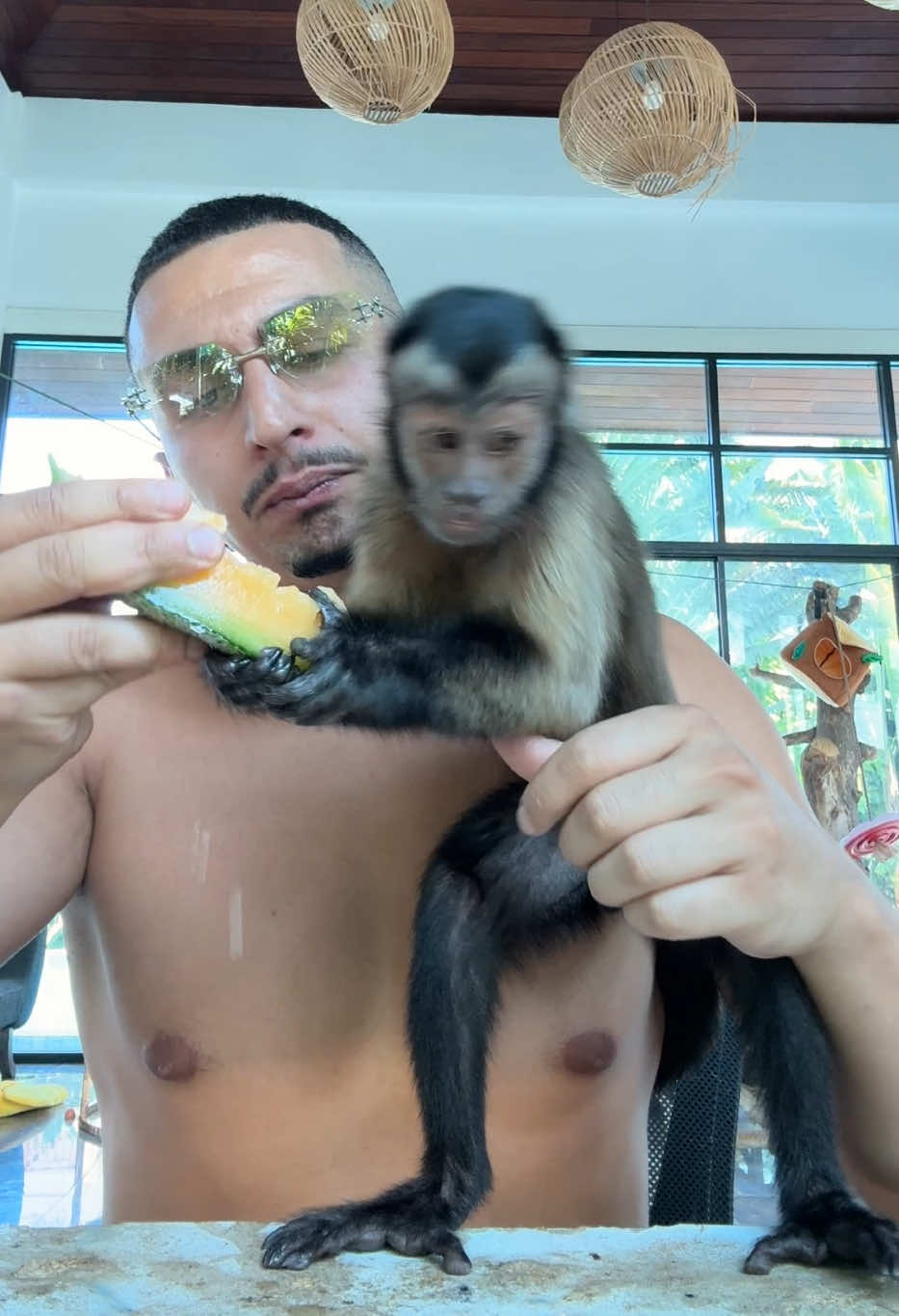 @Tarzane 🦍
