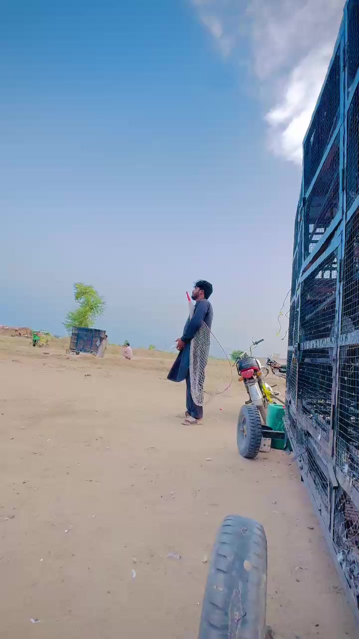 @عدیل رحمن لیہ وال کبوتر باز