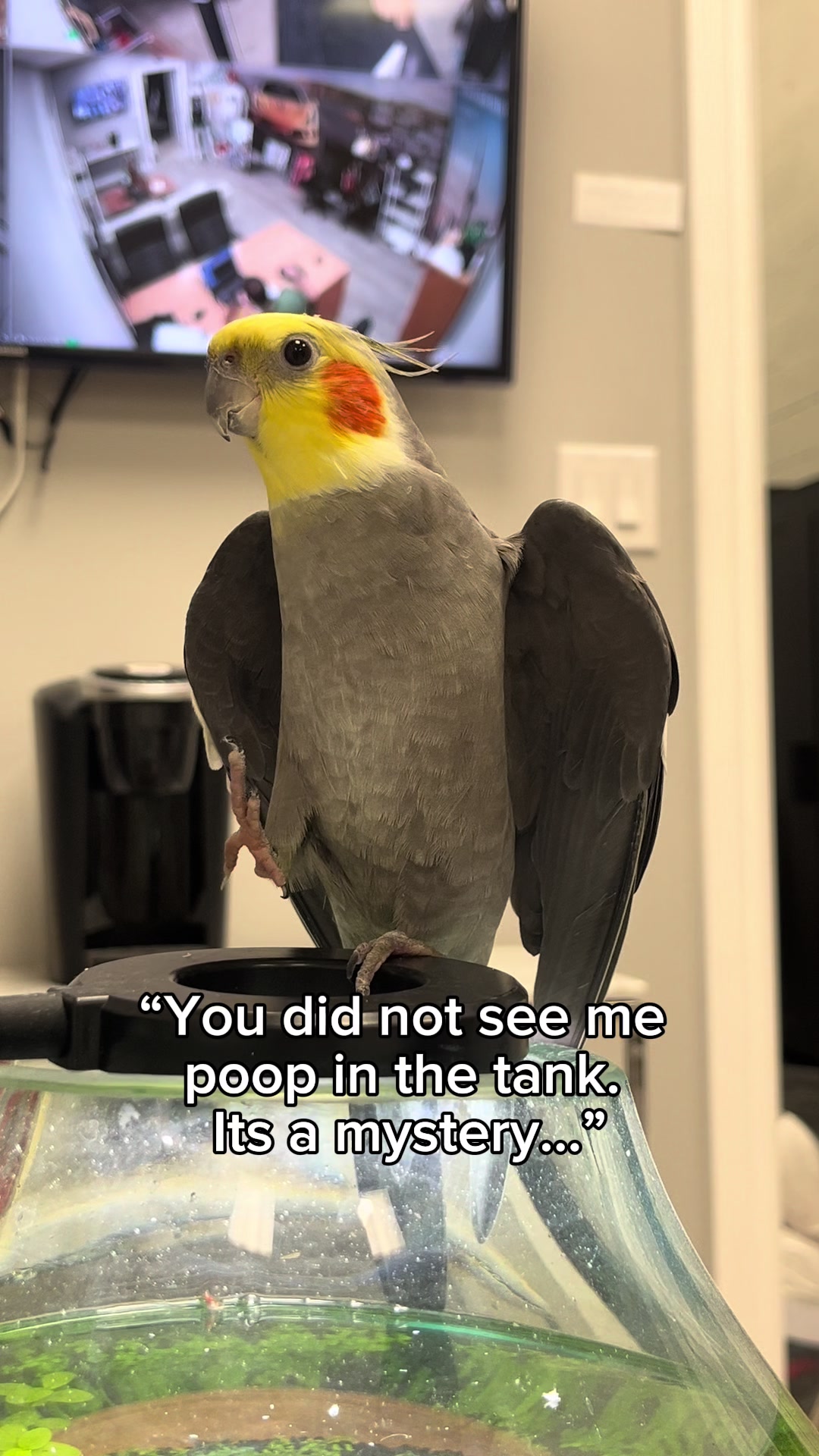 @Emery The Branch Manager