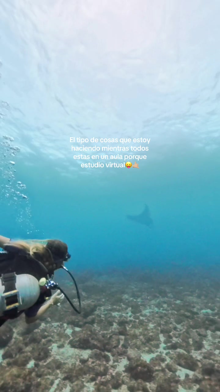 @Sofía Weihmüller 🐚💌