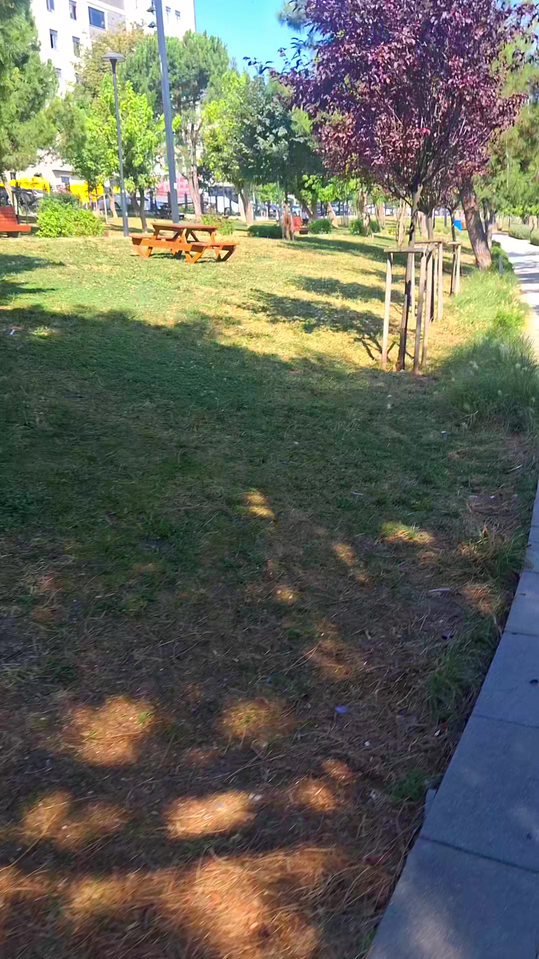 @Malatyalı G