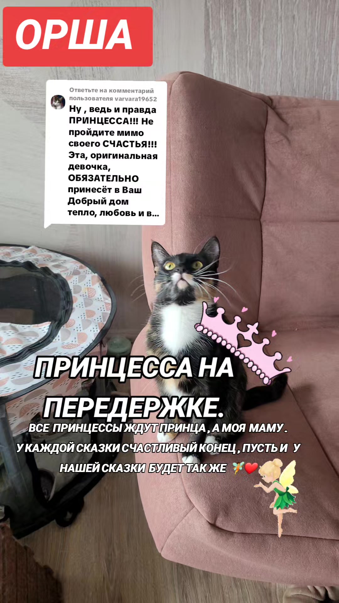 @marinka20_09