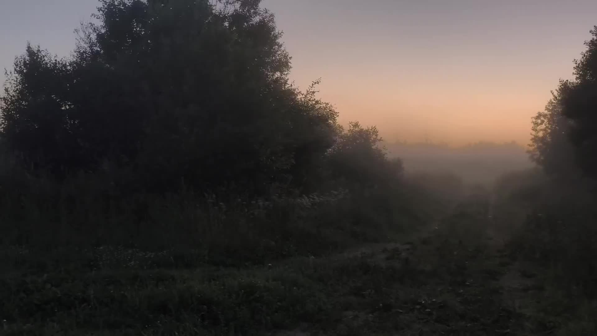 @C u r s e d L i f e