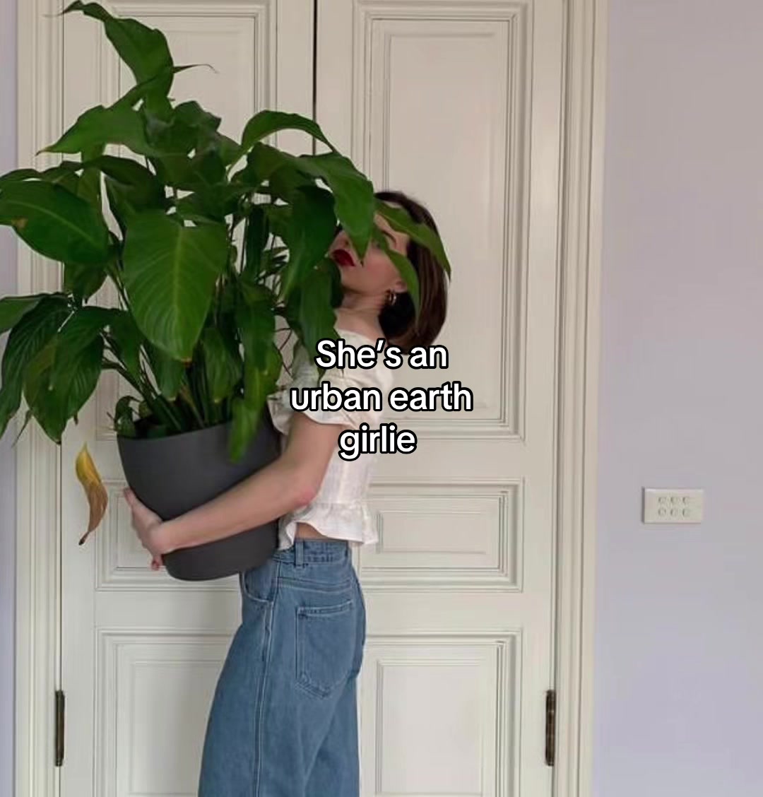 @amaliaplantstrees