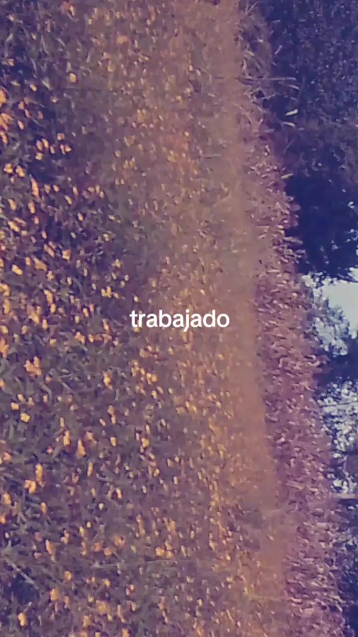 @la flaca toxica