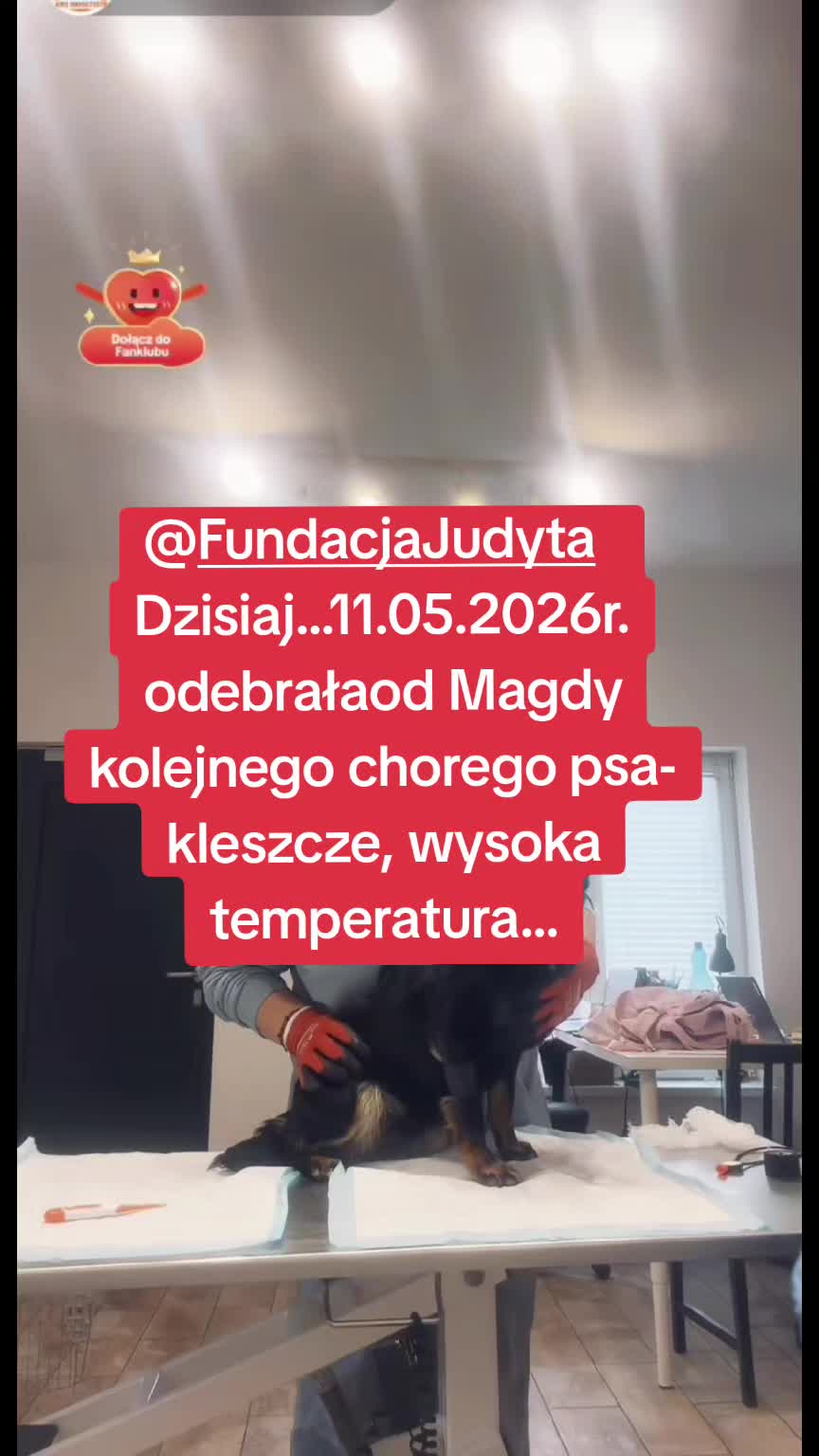 @ma_gik__