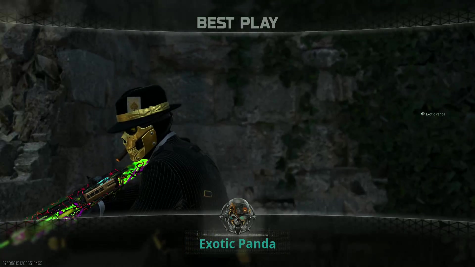 @Exotic Panda