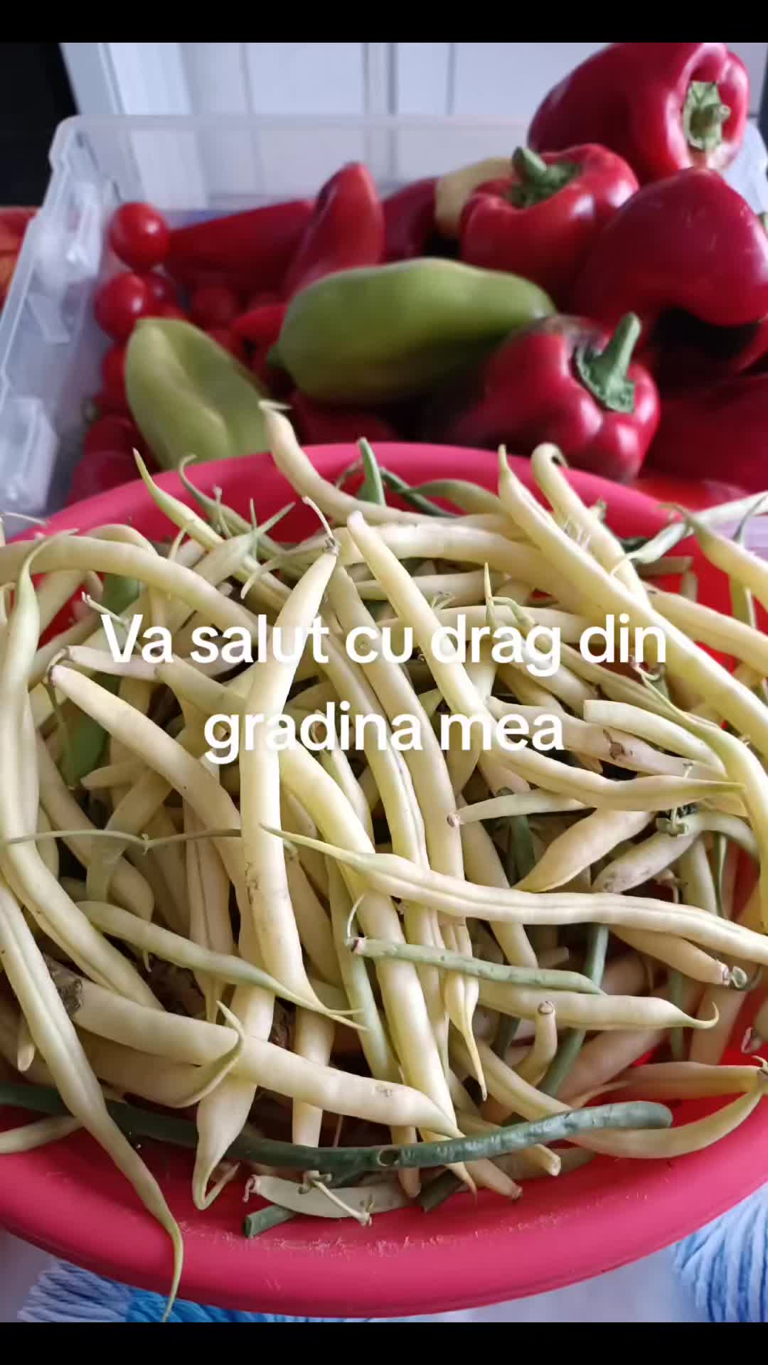 @Ruxandra Borcea