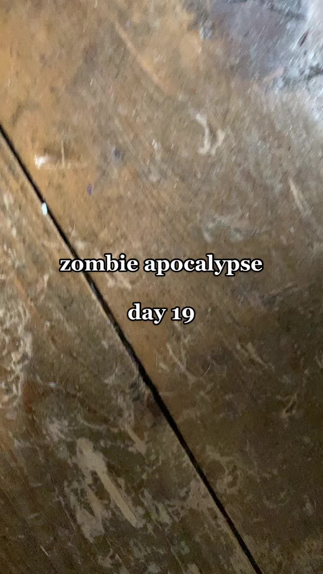 @𖦹⋆🦋₊˚