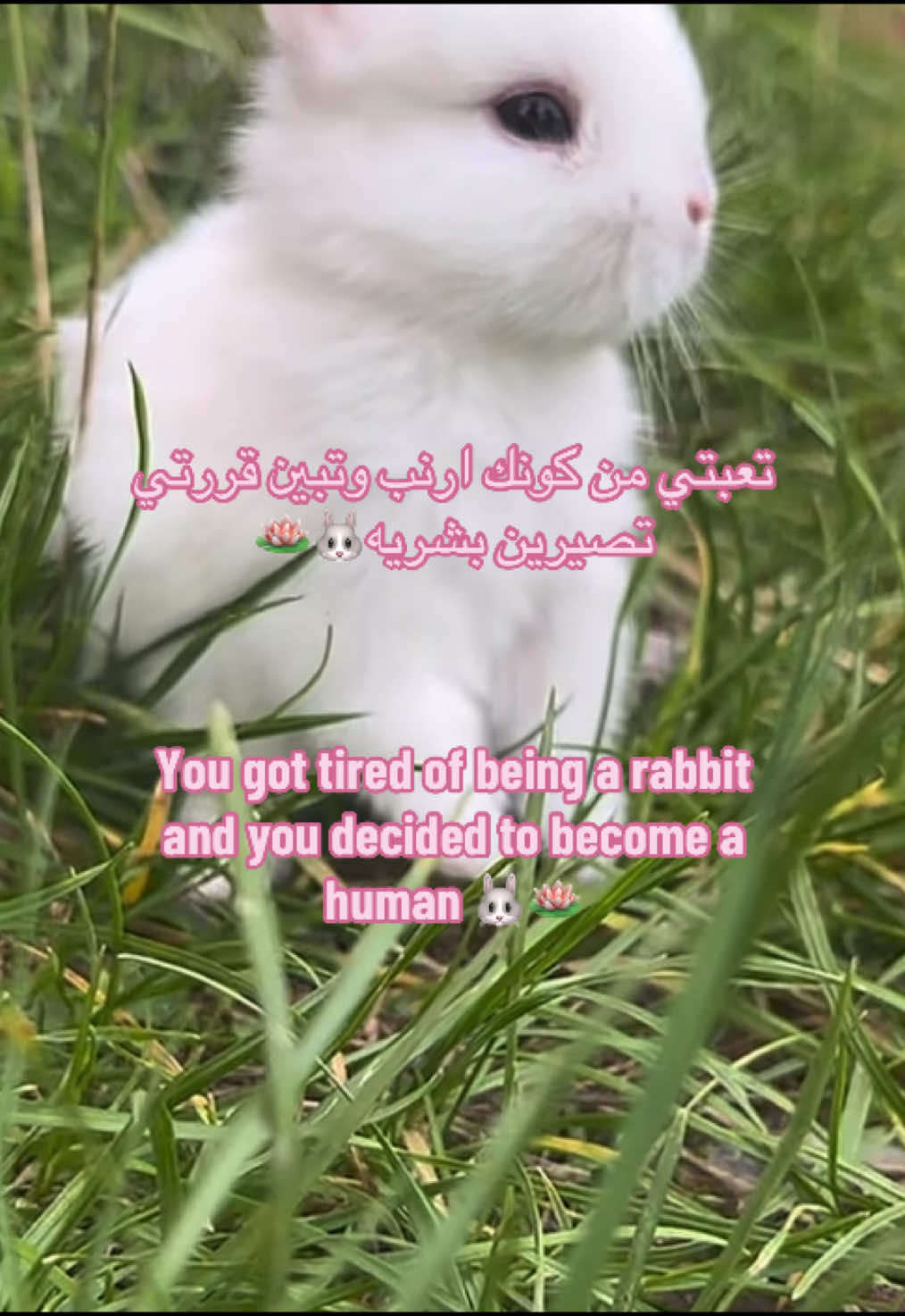 @𝗠𝗶𝗮 𐙚⋆.