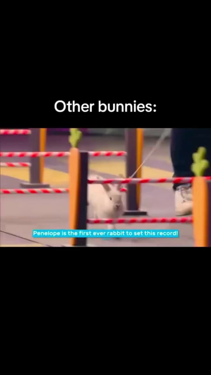 @Zada The Bunny
