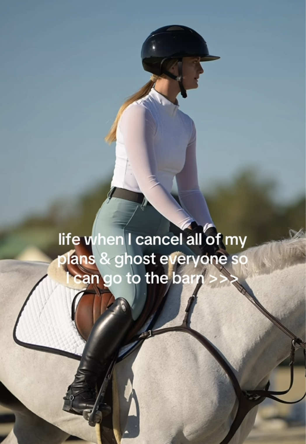 @Free Ride Equestrian