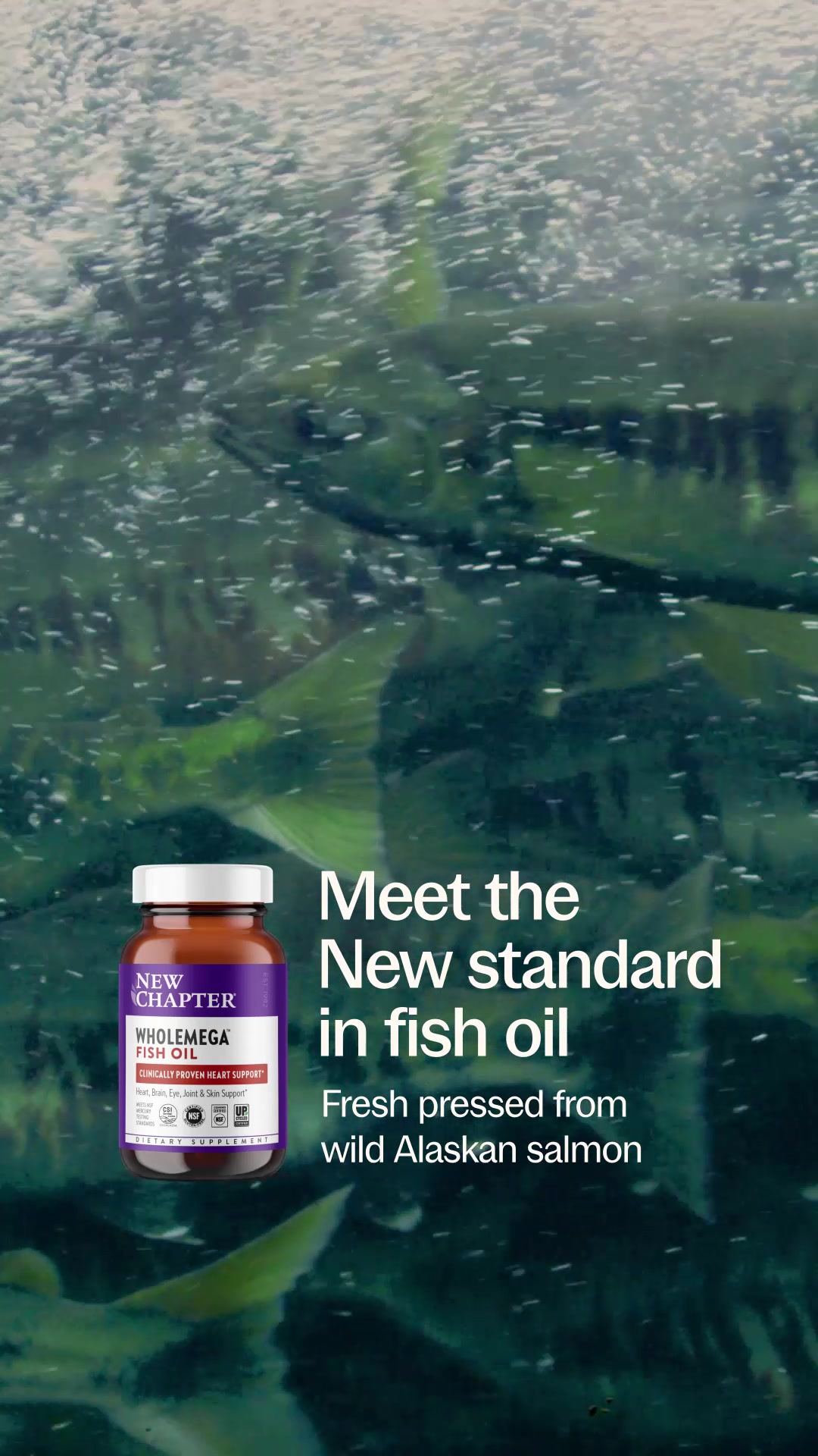 @New Chapter Inc