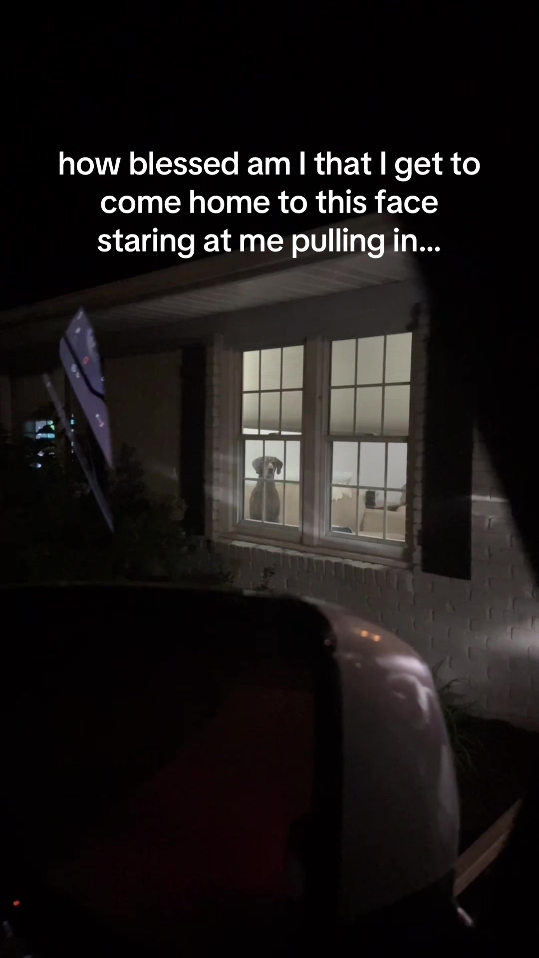 @Peyton