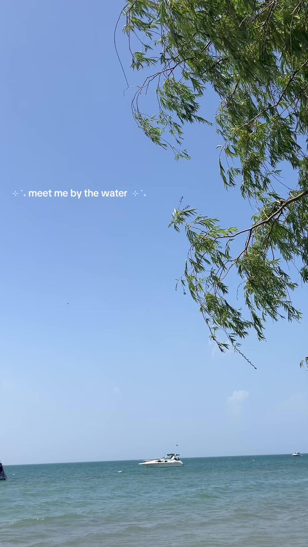 @AP โก