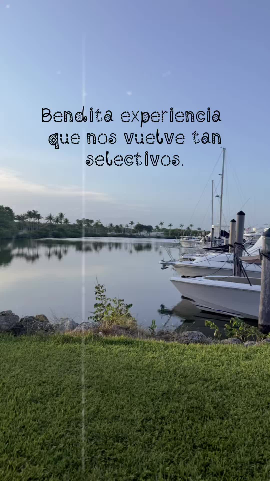 @Dileimysdelpino